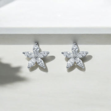 Twinkle Star Studs